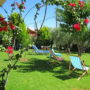 https://summer-house.hotelschalkidiki.net